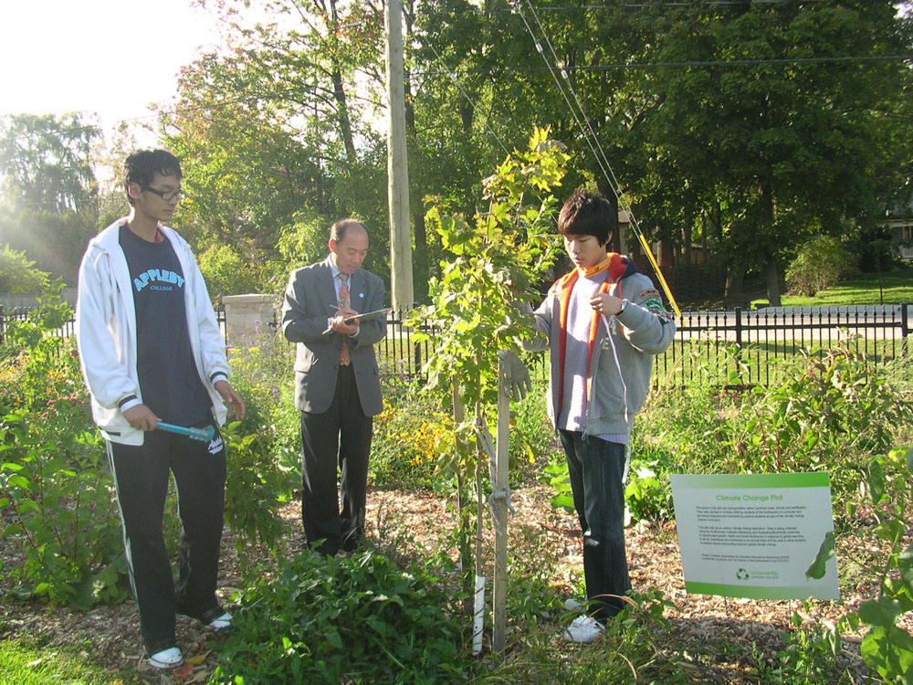 One-year Measurement 2009
