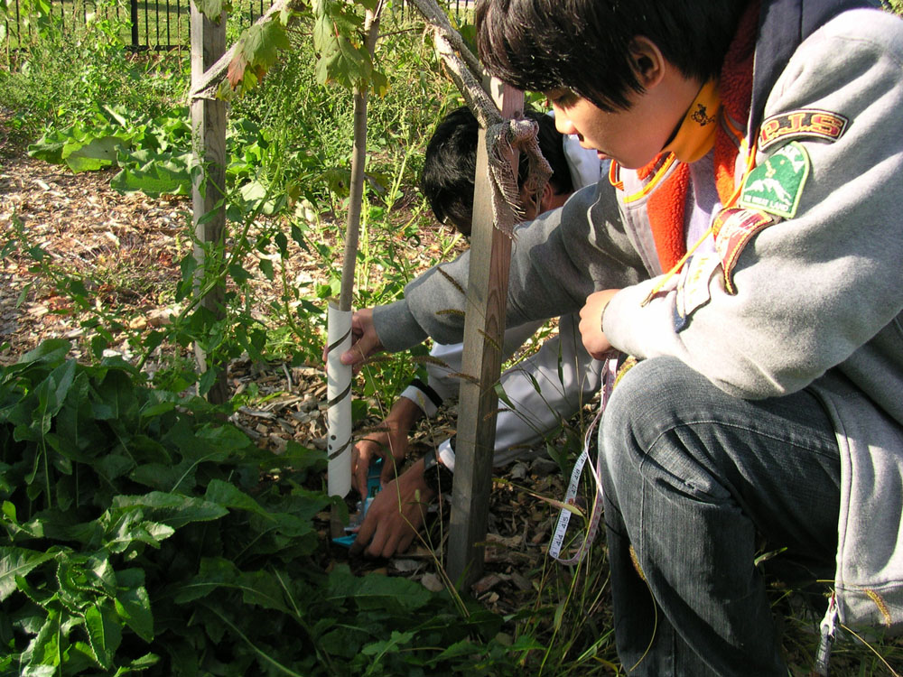 One-year Measurement 2009