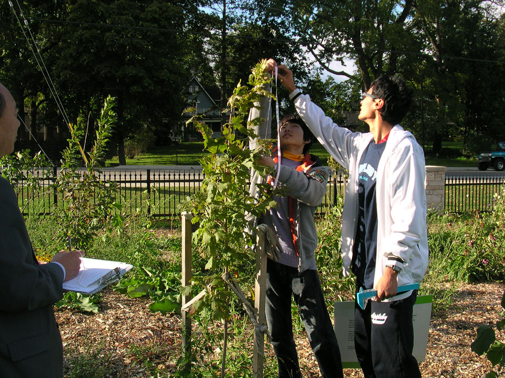 One-year Measurement 2009