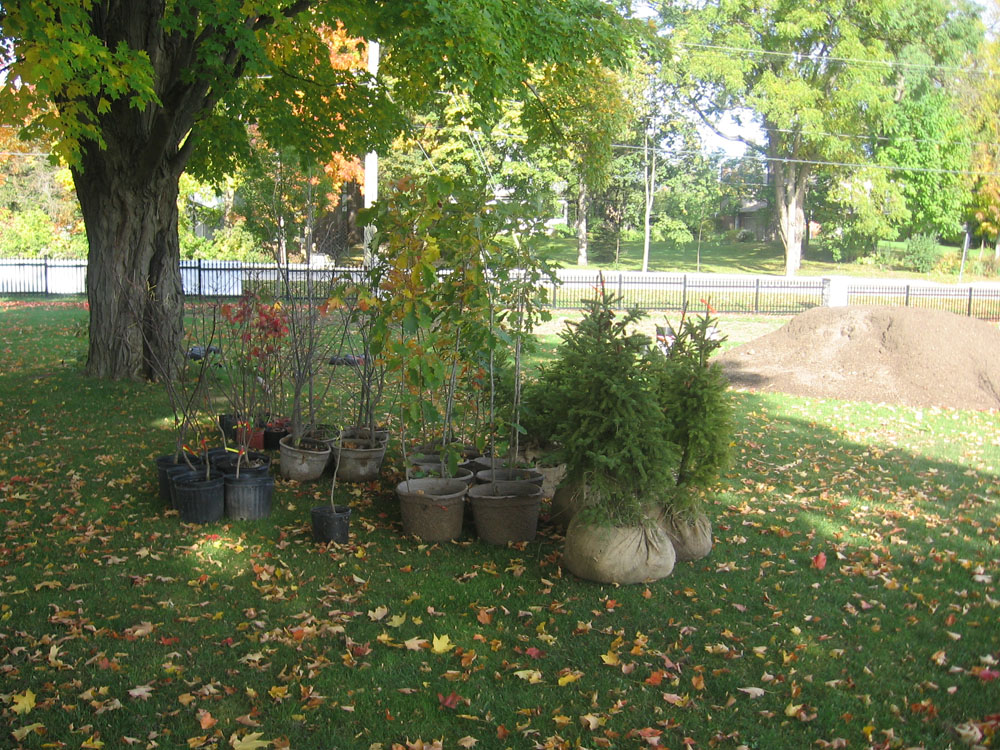 Planting Day 2008