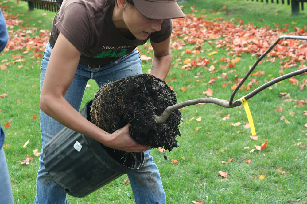 Planting Day 2008