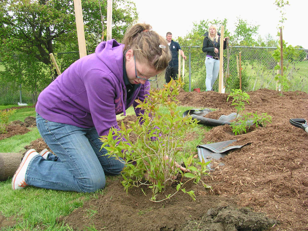 Planting Day 2010