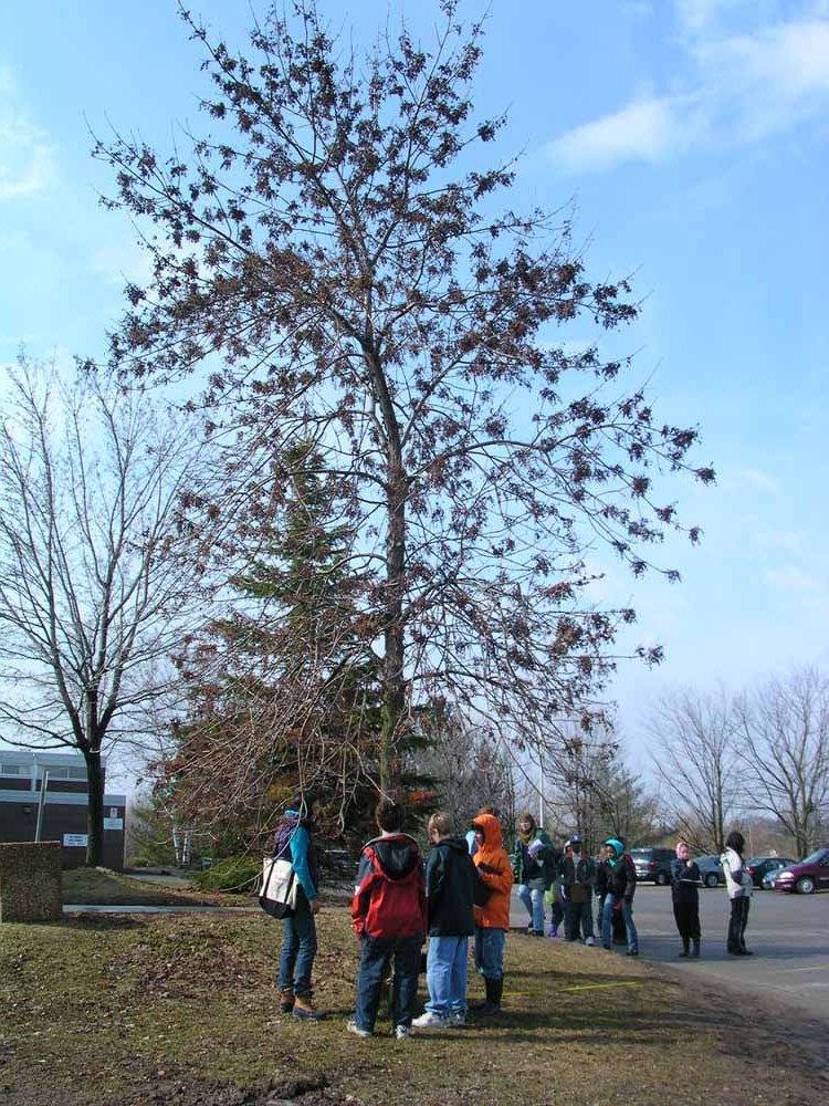 Implementation Day, April 10,2008