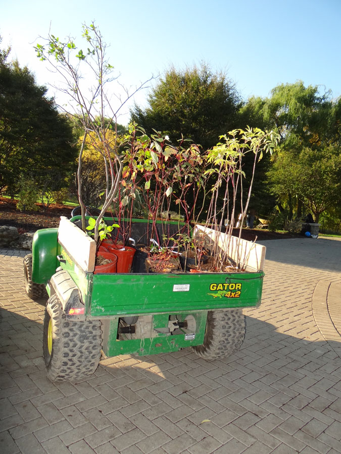 Planting Day 2011