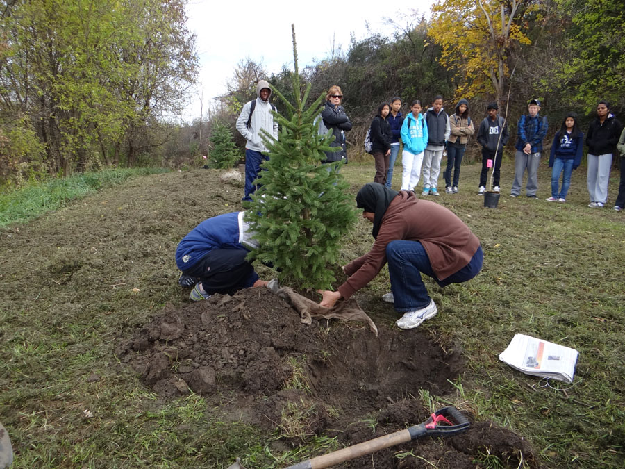 Planting Day 2011