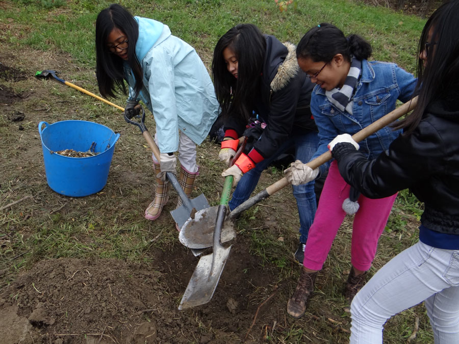 Planting Day 2011