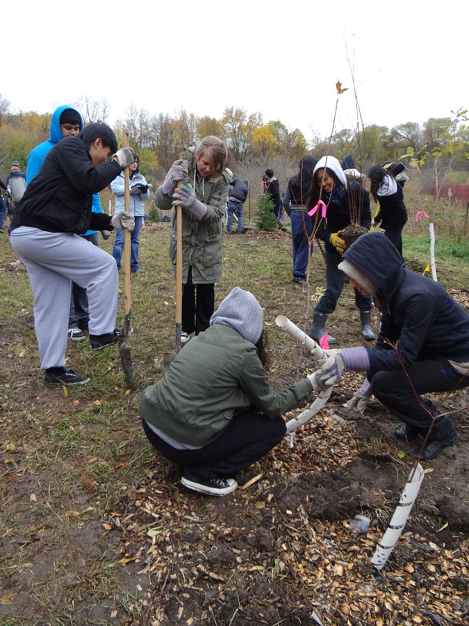 Measure and Mulch, 2011