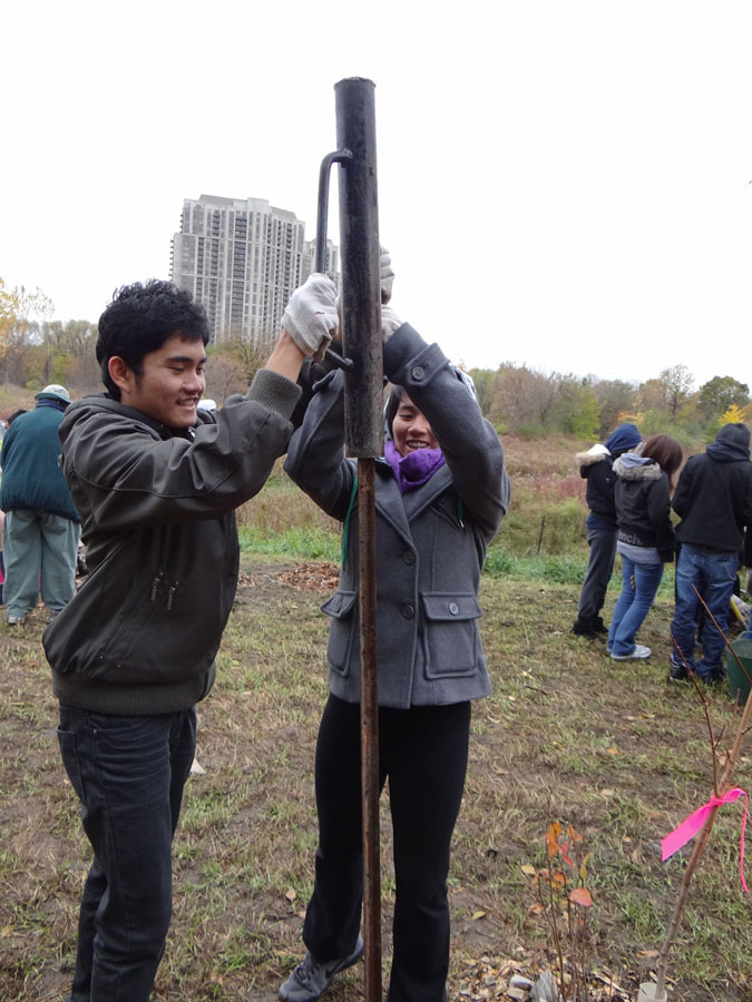 Measure and Mulch, 2011