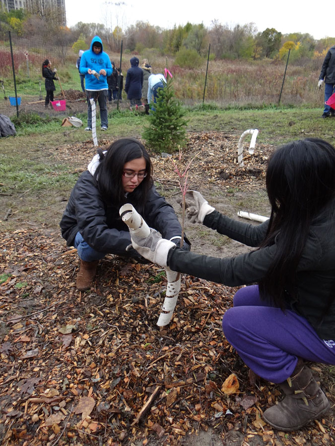 Measure and Mulch, 2011