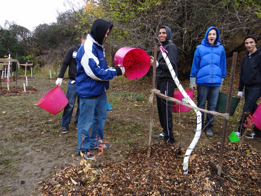 Measure and Mulch, 2011