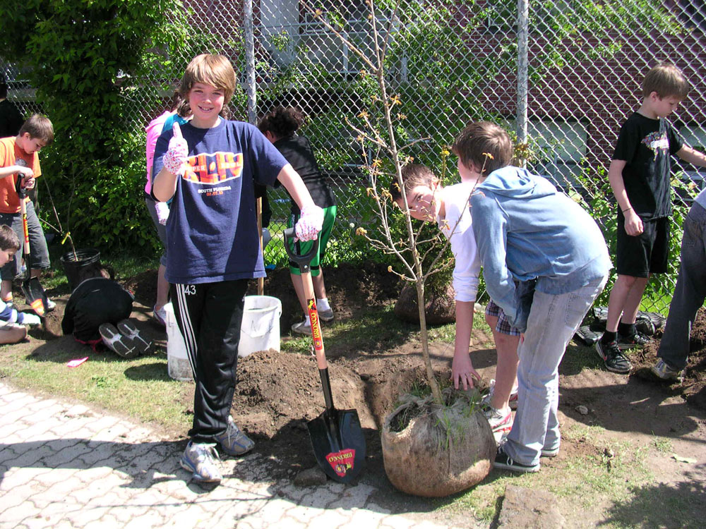 Planting for Change (P4C)