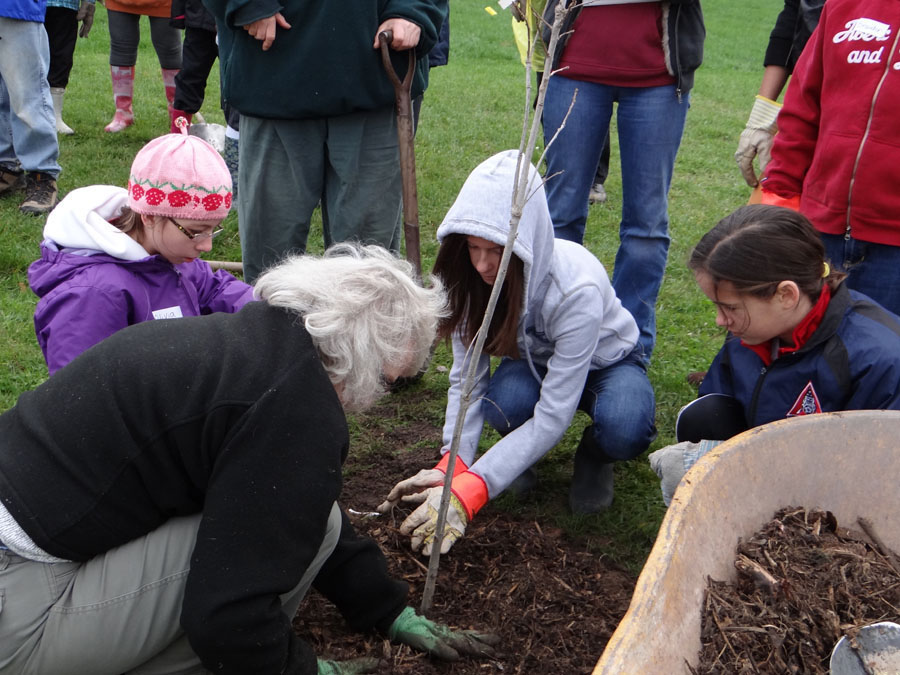 Planting Day 2011