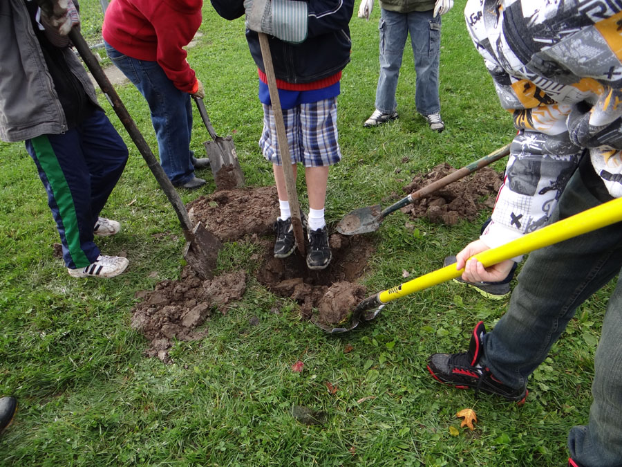 Planting Day 2011