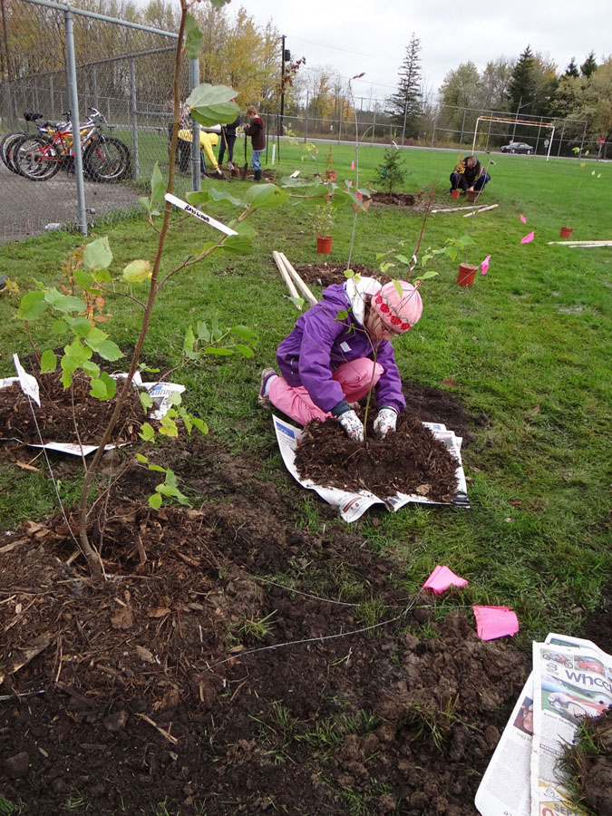 Planting Day 2011