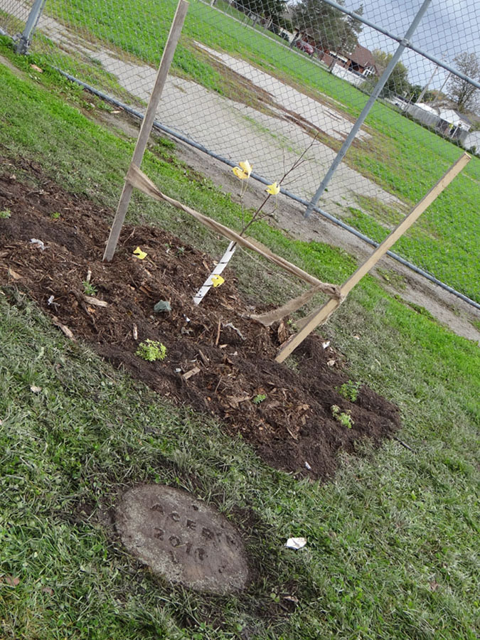 Planting Day 2011