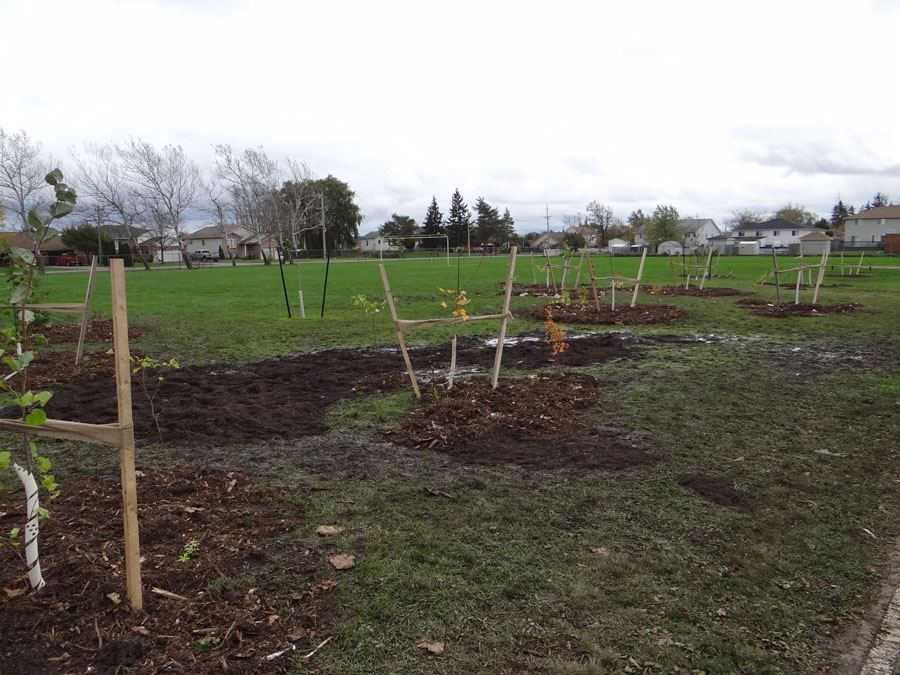 Planting Day 2011