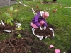NextGen ScrollGallery thumbnail