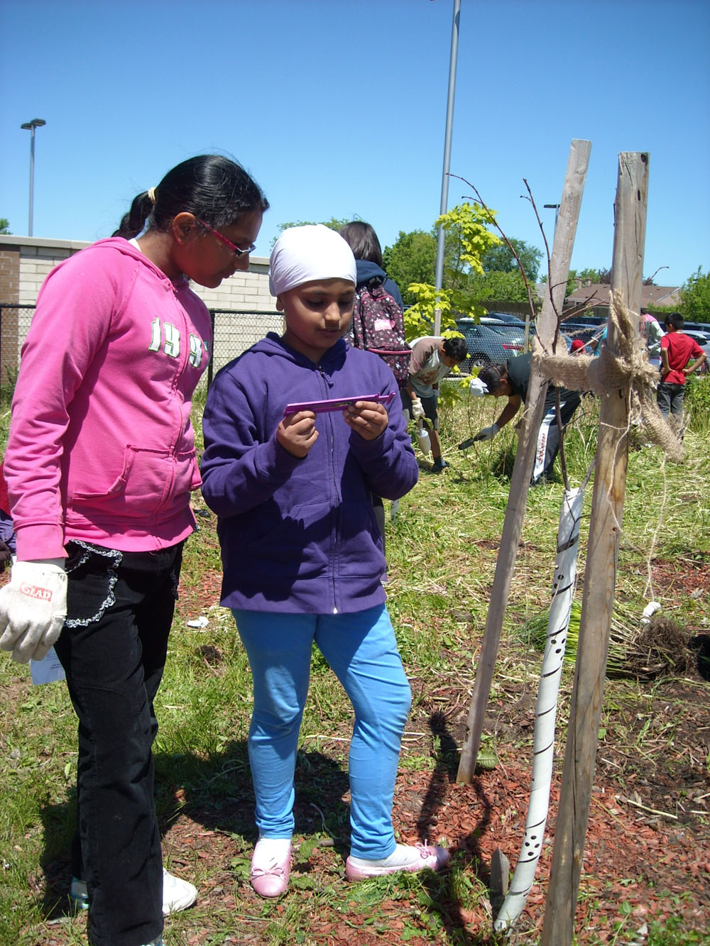 One-year Measurement 2011