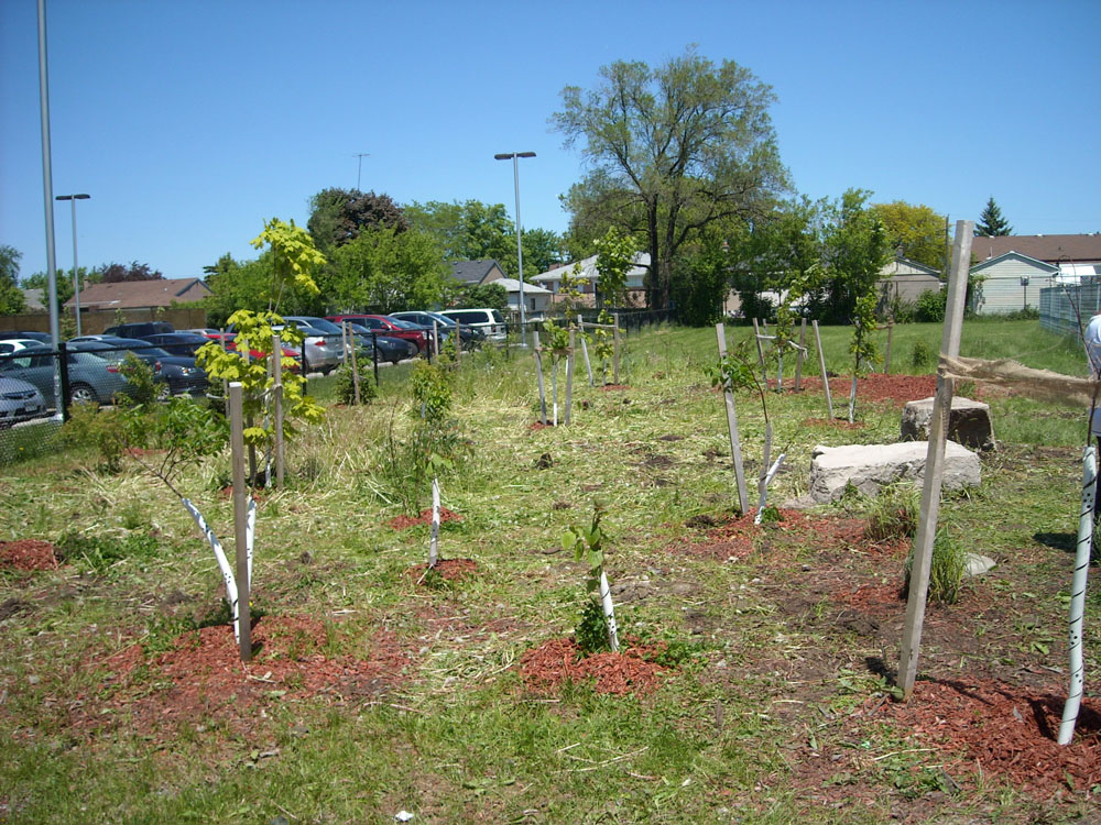 Spring 2011