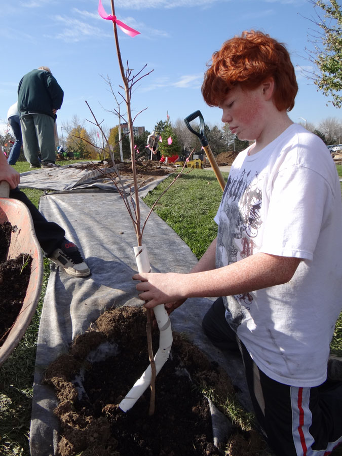 Planting Day 2011