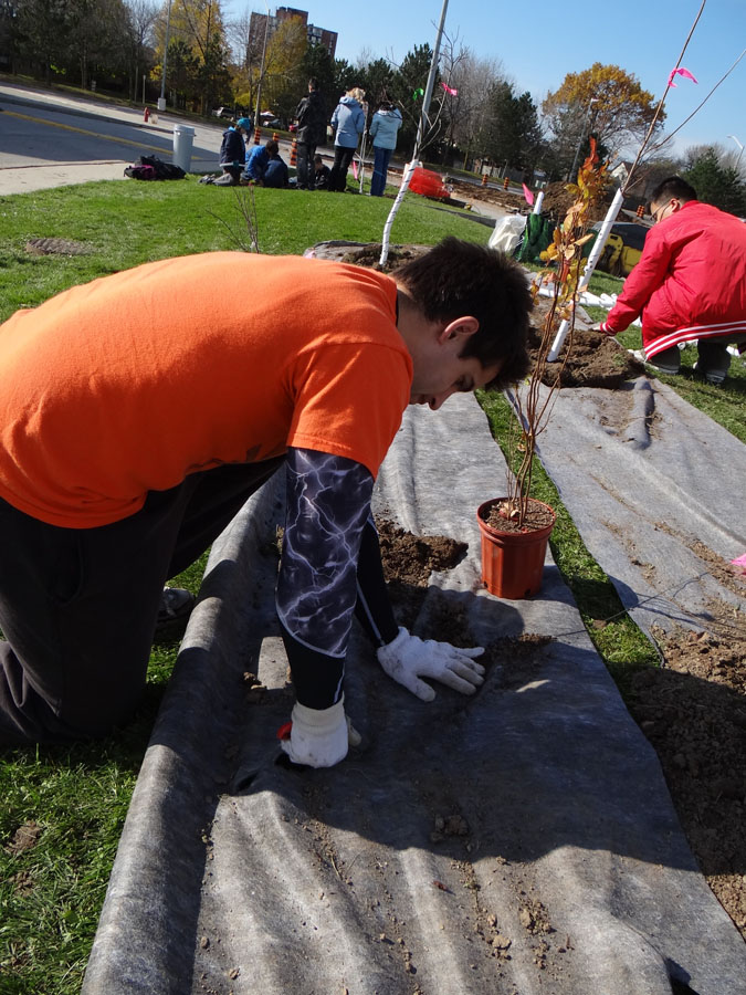 Planting Day 2011